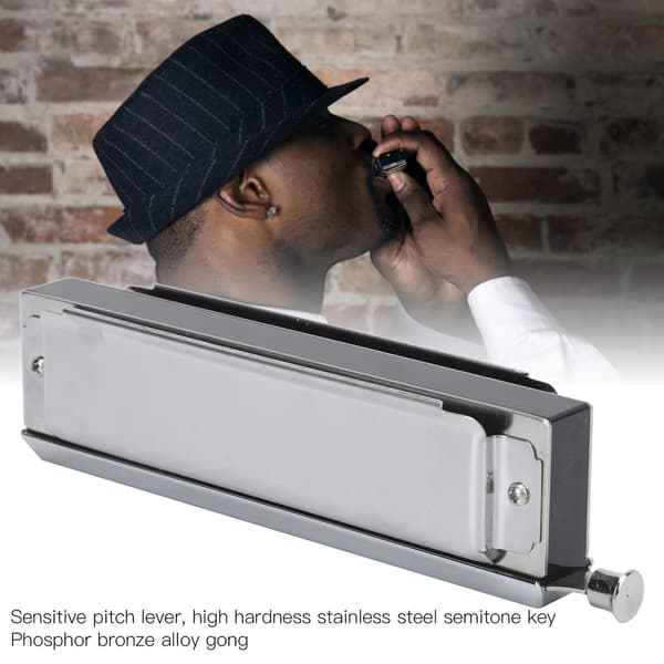 Kromatisk munspel 10 hål 40 toner 2-sidig polyfonisk spelande munorgel silver