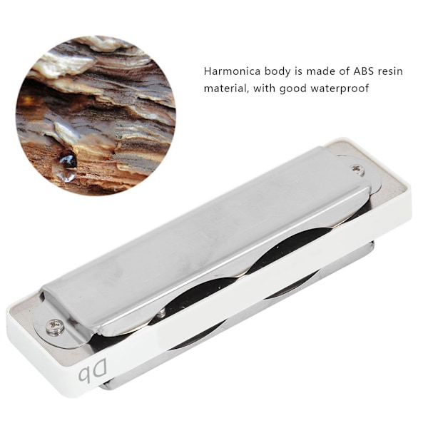 Blues Harmonika 10 Huller Mundharmonika Db Nøgle ABS Resin Professionel Begynder Blæseinstrument White