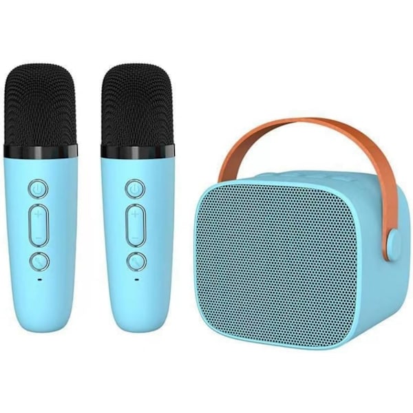 Bluetooth K-sång ljudkaraoke med mikrofon split trådlös ljud bärbar barnfamilj KTV mini set stöd AUX,TF-kort, ljudändring