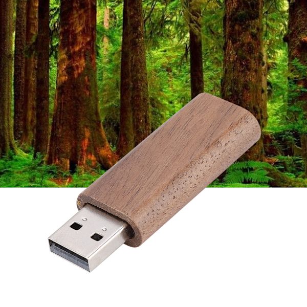 Valnød Træ Skal USB 2.0 Flash Hukommelse Drev Opbevaring Stick Med Boks U Disk (32G)