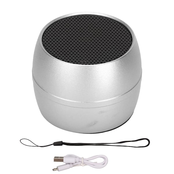 Mini Bluetooth Speaker IP67 Waterproof USB Charging Built in Mic Portable Wireless Speaker for Shower Room Car Silver