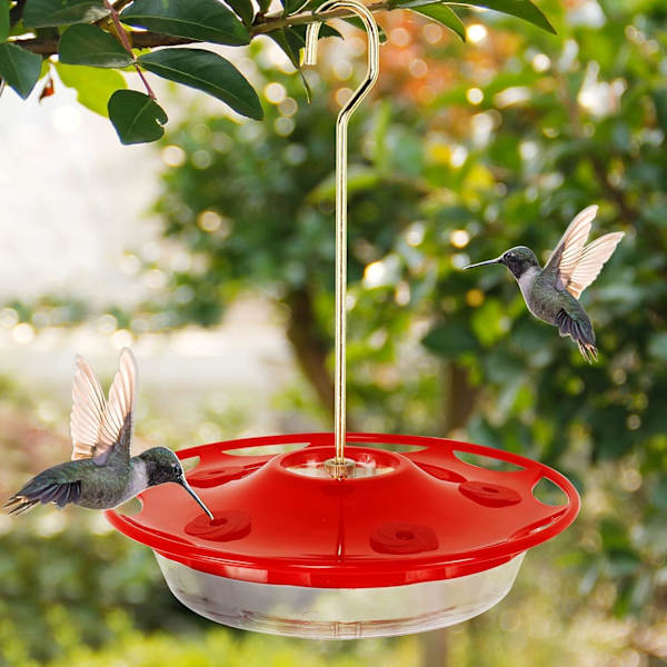 WJ12 oz Hummingbird Feeder (12 oz)