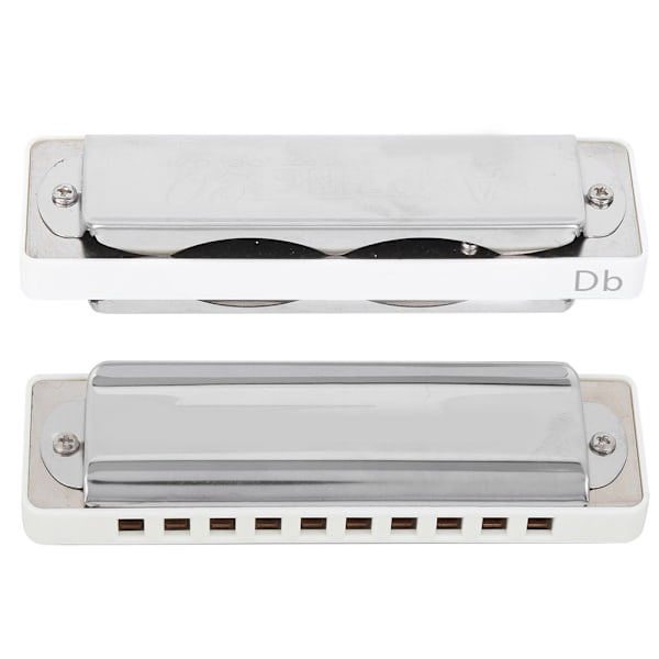 Blues Harmonika 10 Huller Mundharmonika Db Nøgle ABS Resin Professionel Begynder Blæseinstrument White