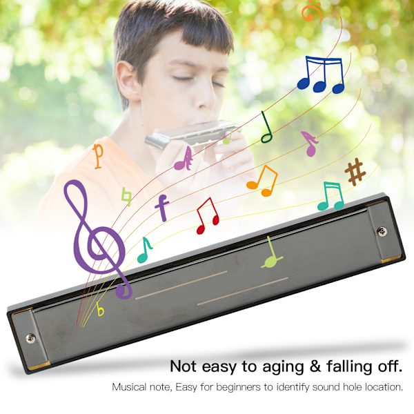 Professionel mundharmonika diatonisk harpe børnegaver polyfonisk C-nøgle 24 huller (Glossy Black )