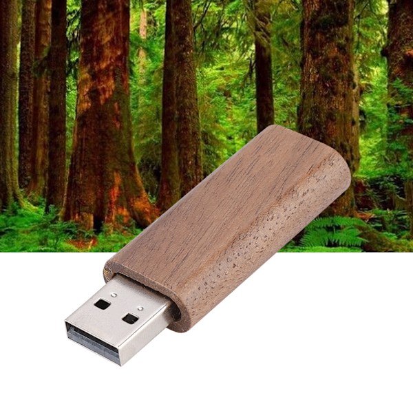 Valnød Træ Skal USB 2.0 Flash Hukommelse Drev Opbevaring Stick Med Boks U Disk (16G)