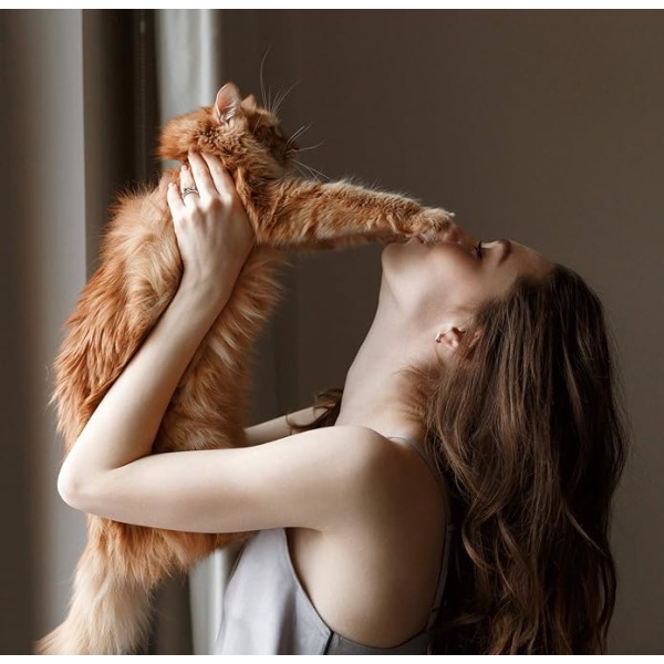 Miesten naisten stress relief ruostumattomasta teräksestä, 8 mm:n kehruurengas Eläin kissan nauhan ympärysmitta: 55 mm halkaisija 17,4 mm 1 kpl