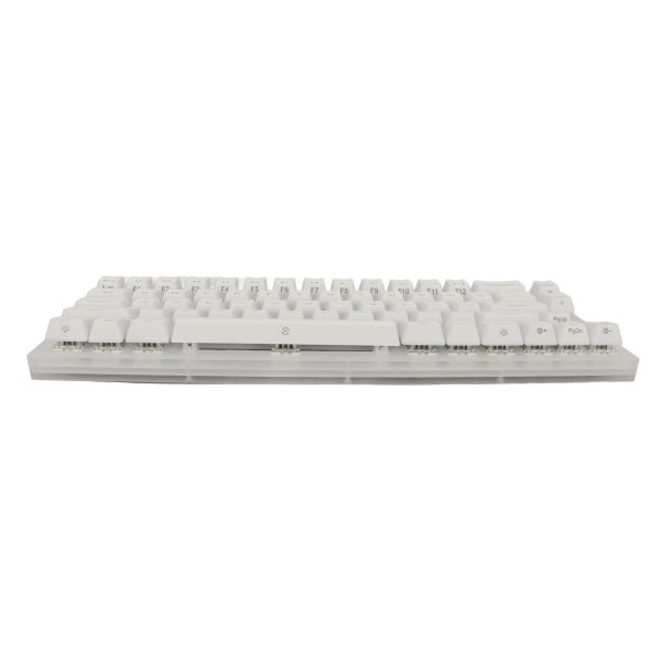Mekanisk tastatur 66 taster RGB Baggrundsbelyst Hot Swappable Type C Kabelført Mekanisk Gaming Keyboard Lineær Action Switch