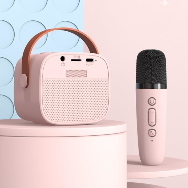 Bluetooth K-sång ljudkaraoke med mikrofon split trådlös ljud bärbar barnfamilj KTV mini set stöd AUX,TF-kort, ljudändring
