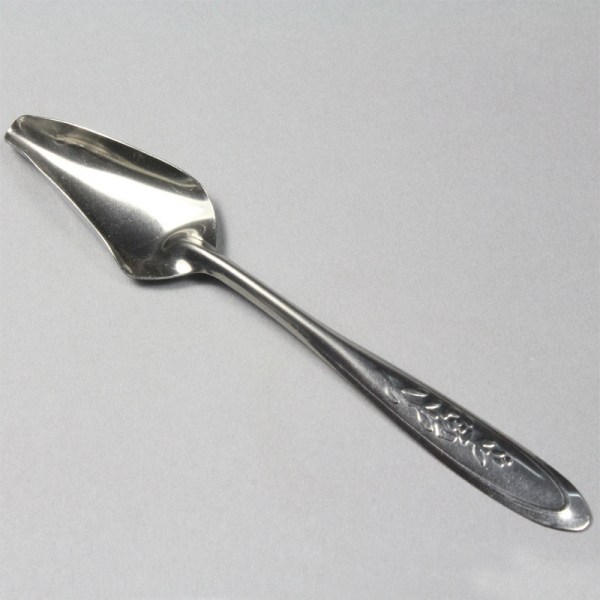 Stainless Steel Metal Feeding Spoon,Special Feeding Scoop Medicine Spoons Hand Feeding Spoons for Peony Cockatiel Parrot