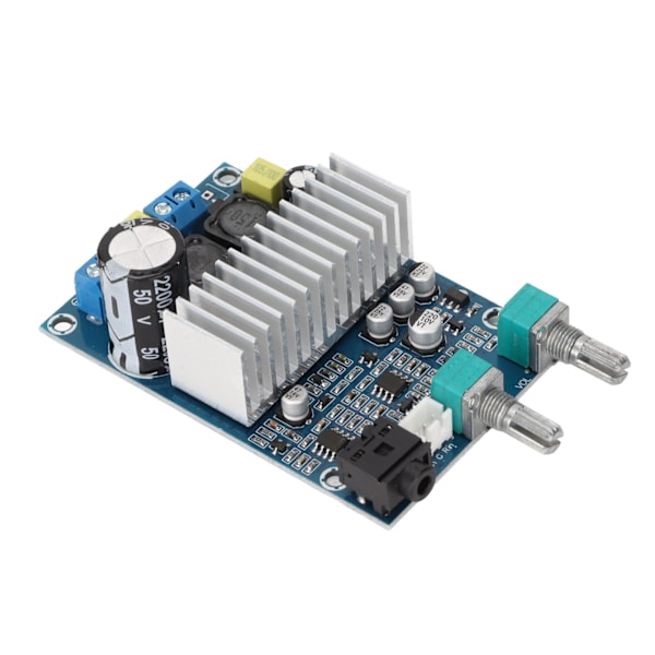 Digital förstärkarkort 100W basutgång subwoofer förstärkarmodul för DIY-högtalare 12-24V