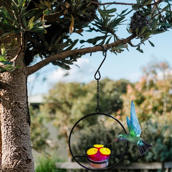 Hängande kolibrimatare Charmig kolibrimatare Fågelmatare med metallram Plastskål, Lätt att rengöra och fylla på fritt kombinerad, för Outs circular 1PC