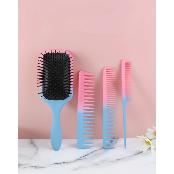 Sett med 2 gradient fargeputekam for vått og tørt hår, myke børster for antistatisk og frizz luftputekam for kvinner, jenter, Hirao