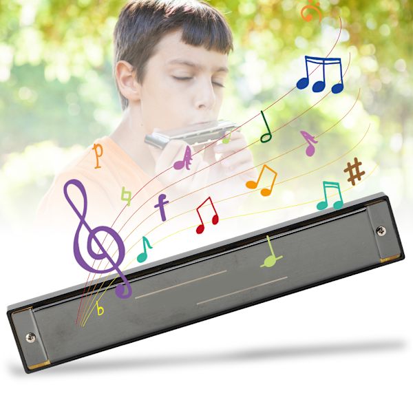 Professionel mundharmonika diatonisk harpe børnegaver polyfonisk C-nøgle 24 huller (Glossy Black )