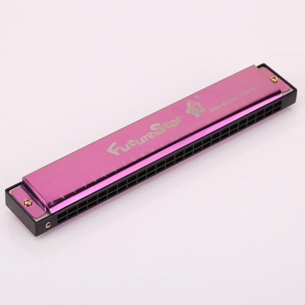 Sett med 2 Key of C 24 Hull C Tone Polyfoni Farge Munnspill med Etui for Nybegynnere Studenter Barn (Lilla, Svart)