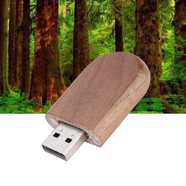 Trä Ovalformade Flash-enheter Lagring USB 2.0 U-disk Minnespinne (128G)