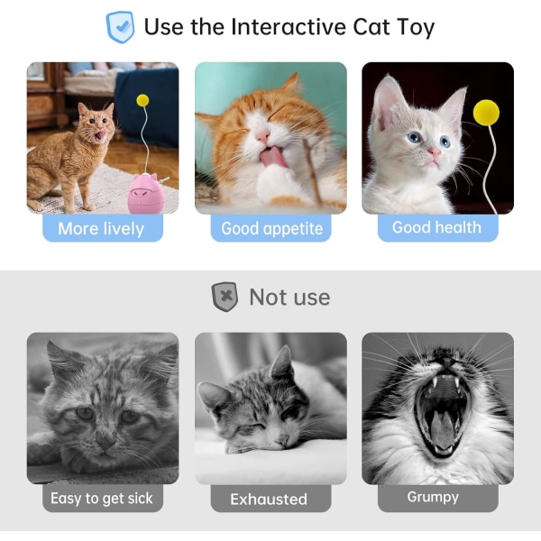 Kissan lelut sisäkissoille, automaattinen interaktiivinen liikeaktivoitu ninja-ajoitus pyörivä pallolelu koirille kissoille Kitty Kitten,Ninja White