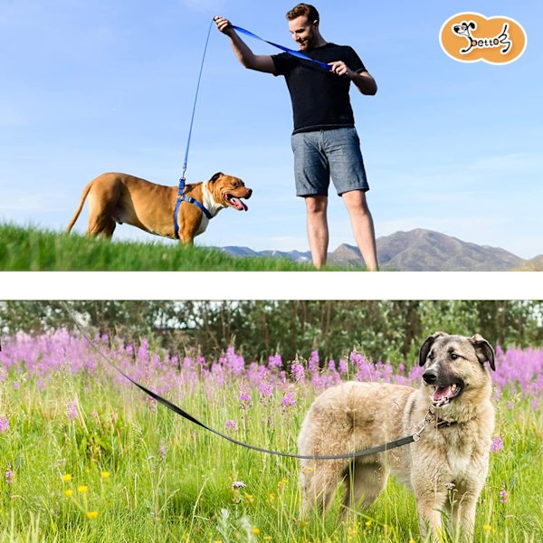 Hundetreningsbånd Lang Line Valpetrening Tilbakekallingsbånd for Hunder, Flott for Lek Camping Strand Bakgård (L 30Ft, Svart)