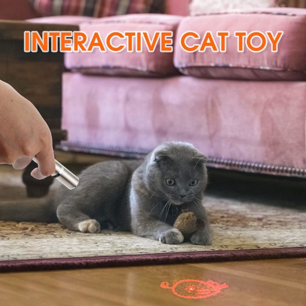 Dotpet interaktive katteleker for innekatter Kattunge Lek Chase Exercise