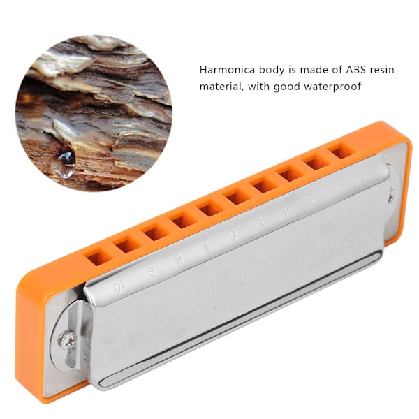 Blues Harmonica 10-hulls munnspill F-nøkkel rustfritt stål deksel nybegynner blåseinstrument (Orange )