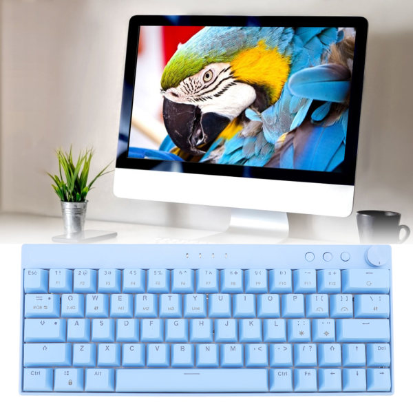 3 Modes Wireless Mechanical Keyboard 64 Keys Wireless 2.4G Type C Wired N Key Rollover Blue Mechanical Keyboard with Knob RGB Brown Switch