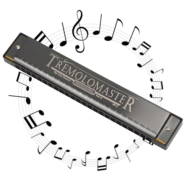 Profesjonell munnspill munnspill diatonisk harpe barnas gaver polyfonisk C-nøkkel 24-hull (Matt Black )