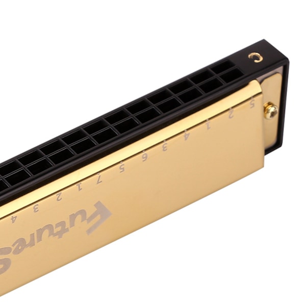 Sett med 2 Key of C 24 Hull C Tone Polyfoni Farge Munnspill med Etui for Nybegynnere Studenter Barn (Lilla, Svart)