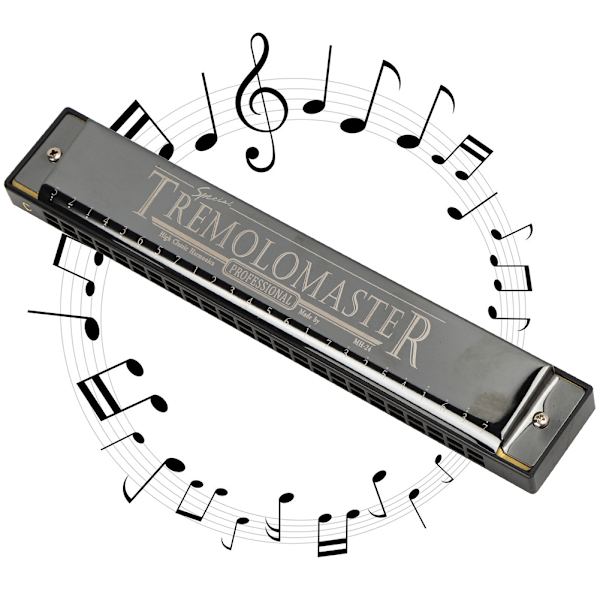 Ammattimainen suuharmonikka diatoninen harppu lasten lahjat polyfoninen C-sävel 24-reikäinen (Glossy Black )