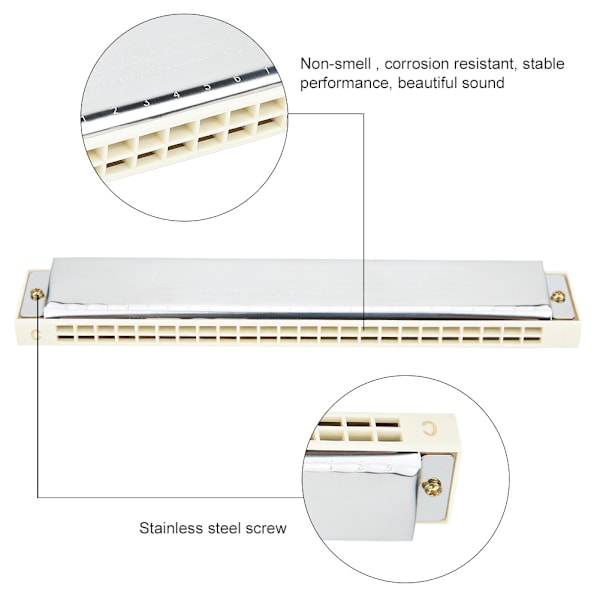 Ammattimainen suuharmonikka diatoninen harppu C-sävellajilla ruostumattomasta teräksestä valmistettu kansilevy 24-reikäinen White