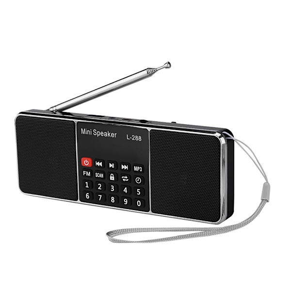 Bärbar FM-radio Minihögtalare Basmusikspelare med TF-kortfunktion Svart