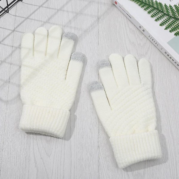 Men's And Women's Winter Touch Screen Thickened Warm Wool Gloves (white)