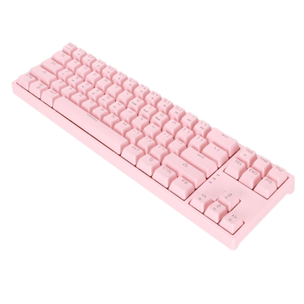 Mekanisk tastatur 71 taster Blå switch RGB baggrundsbelysning Side lysstrimmel Type C Gaming tastatur til GamingPink