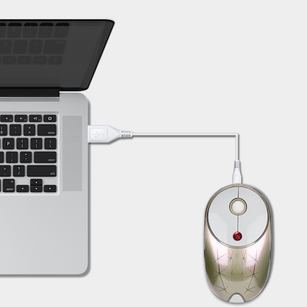 Sunrose Genopladelig RGB Baggrundsbelyst Trådløs Stum Optisk Mus USB Modtager Til PC (Champagne)