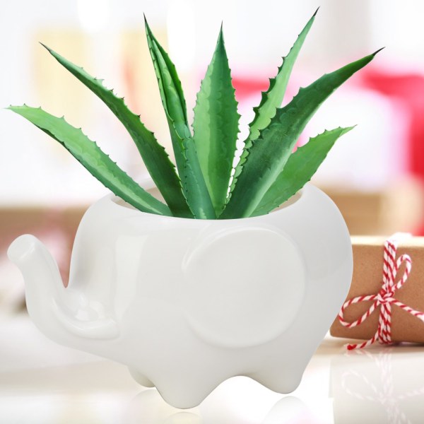 1 st keramikharts saftiga växtbehållare blomkruka planteringsmaskin trädgård L