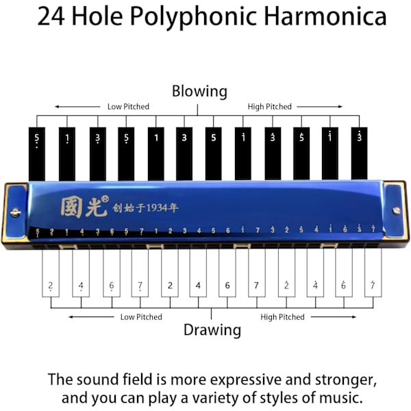 Blå - 24 hullers tremolo harmonika polyfoni diatonisk C-nøgle 24 huller profession harmonika begyndere børn aldults tremolo harmonika