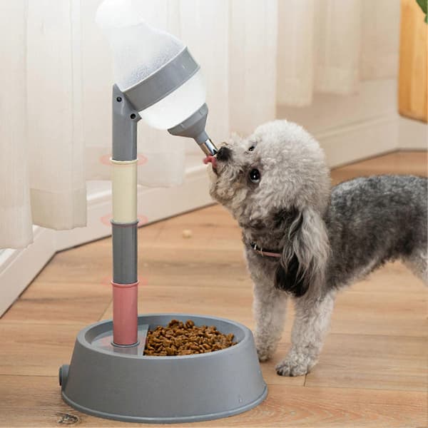 Stående vanddispenser til katte, multifunktionel, justerbar højde, automatisk vandflaskedispenser til hunde, katte og kæledyr, mørkegrå bund