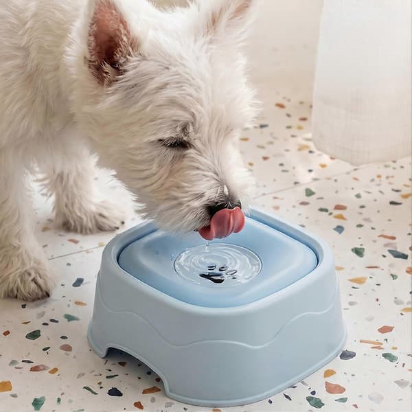 Vandskål med flydende disk til hunde og katte, spildsikkert design Yellow