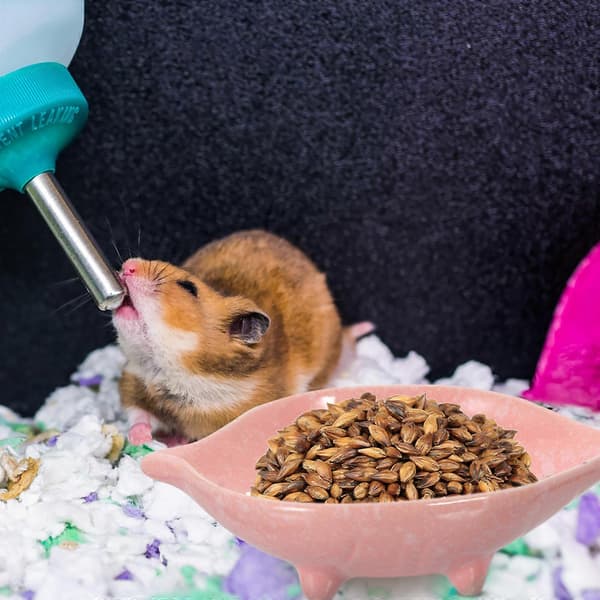 Hamsterskål til fodring 2 stk. keramisk lyserød tilbehør til små kæledyr