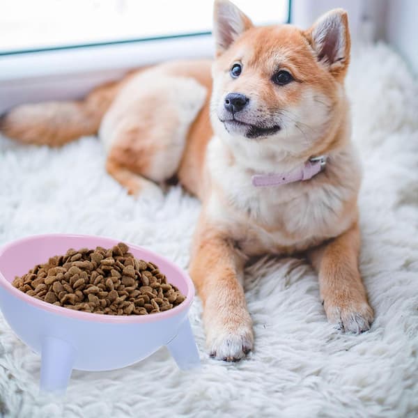 Dobbelt foder- og vandskål til katte og hunde