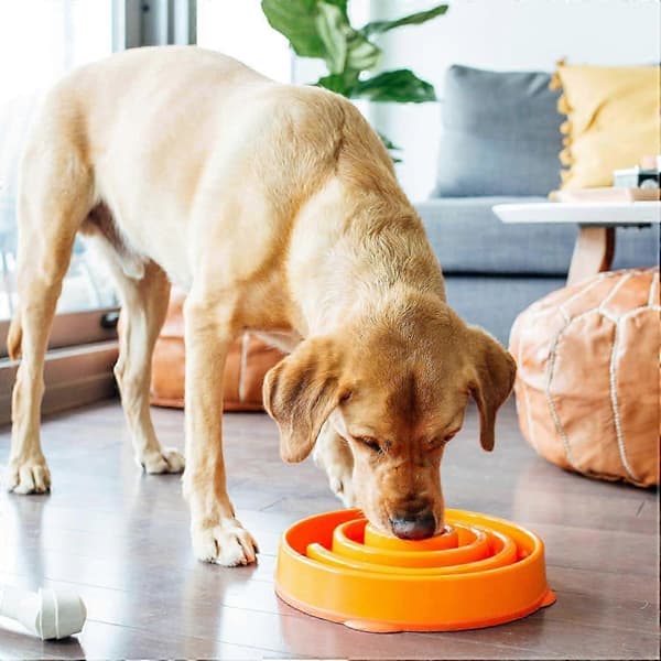 DLM Outward Hound Fun Feeder Slo Bowl, langsom foder-skål til hunde, stor/almindelig, lilla B