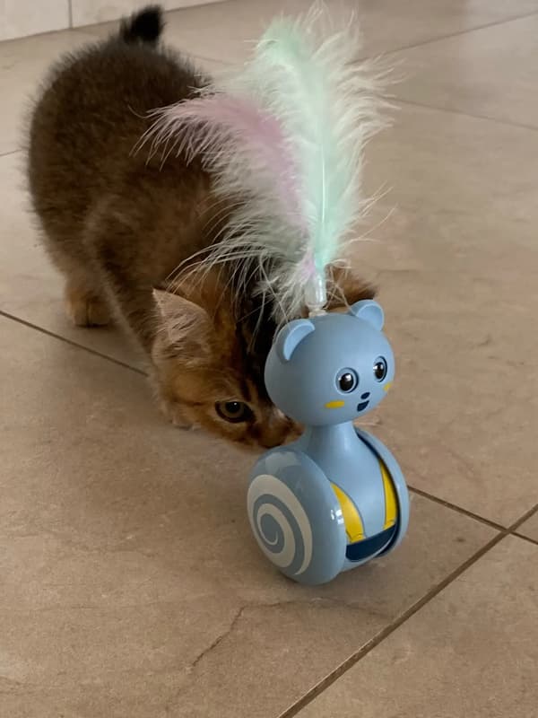 Kattelegetøj Rullende Teaser Fjerstav Roterende bold blå blue feather