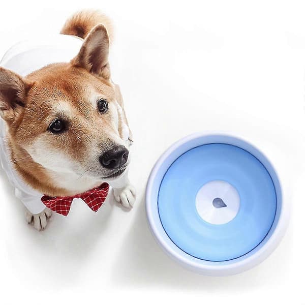 Spildfri vandskål til hund, slow feeder-skål, drikkeskål til kæledyr