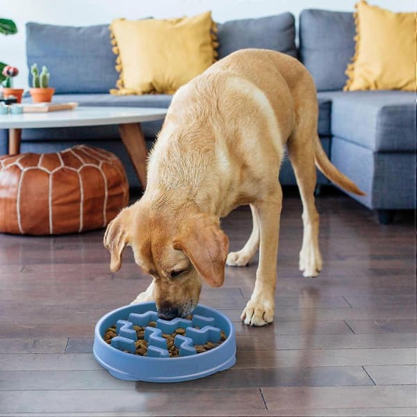 Outward Hound Fun Feeder Slo Bowl, langsom foder-skål til hunde, stor/almindelig, lilla D