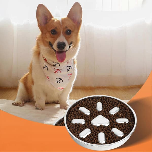 Skridsikker madskål til langsom spisning i rustfrit stål til små og mellemstore hunde rectangular