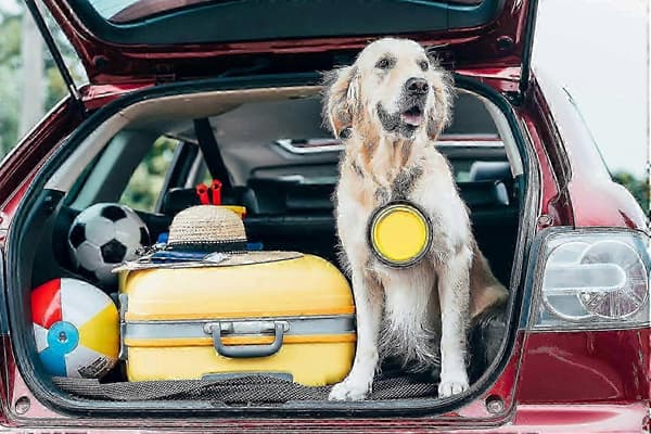 Sammenfoldelig hundeskål til rejser - bærbar hundevandskål - Sammenfoldelig hundeskål til rejser - hundefoderautomat langsom spiseskål (gul)