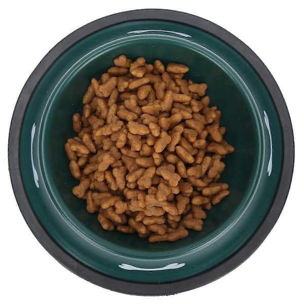 26-27 Kæledyrsskål i rustfrit stål Katte- og hundefoderautomat Kraftig skridsikker hundeskål med sødt print Green