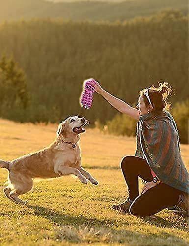Pibende?Hund?Legetøj?Plys?Hund?Legetøj?Fyldt?Hund?Legetøj?til?Små?og?Mellemstore?Hunde?Holdbart?Interaktivt?Hund?Legetøj?med?Fyld