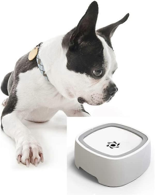 Flydende kæledyrsvandskål med spildfrit design til hunde og katte, grøn vanddispenser