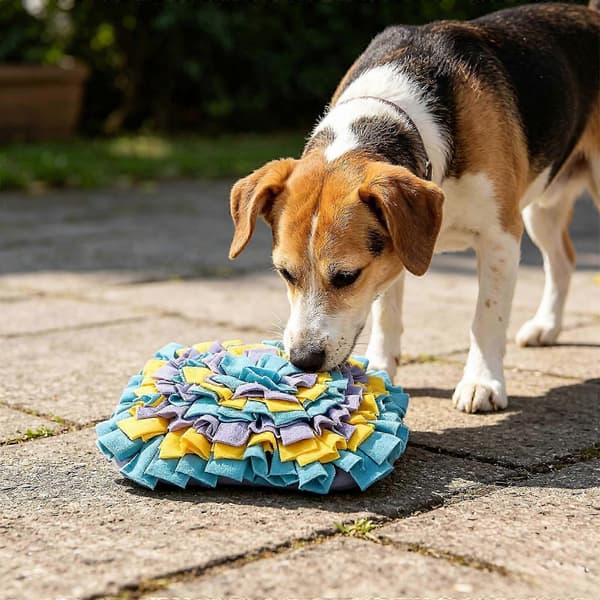 Snusemåtte til hund | Interaktiv foder- og søgemåtte | Skridsikker bund
