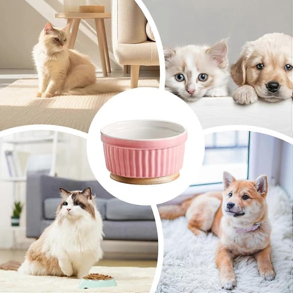 Opvarmet kæledyrsvandskål med konstant temperaturstyring, lyserød keramik til katte og hunde