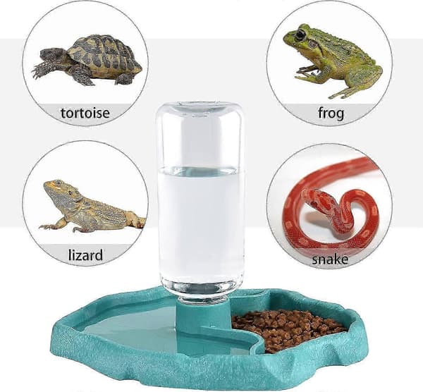 Højkvalitets skildpaddevandskål, foderskål, foder- og vandskål til krybdyr, automatisk foderdispenser, drikkeskål i plast Blue